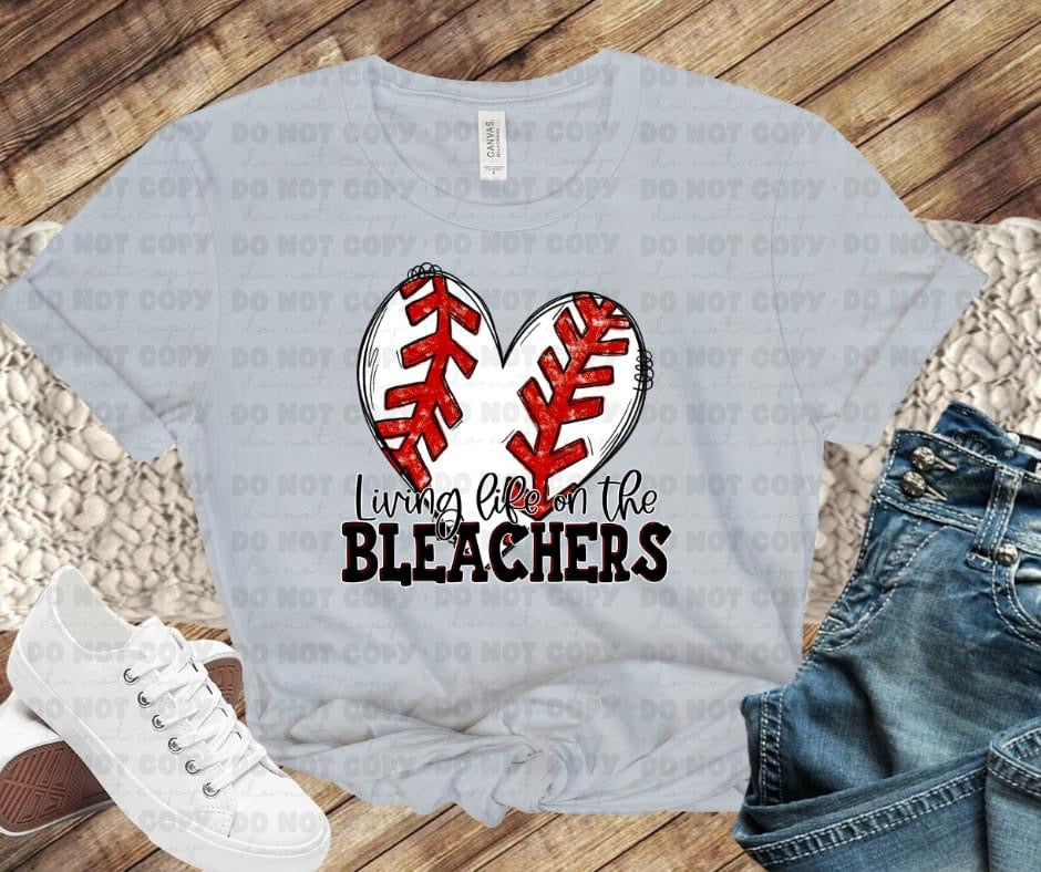 Livin life in the Bleachers baseball