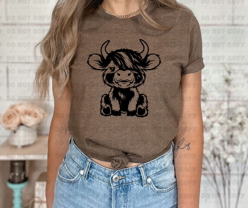 Cute Highland Cow