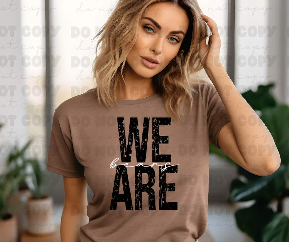We are the Bears