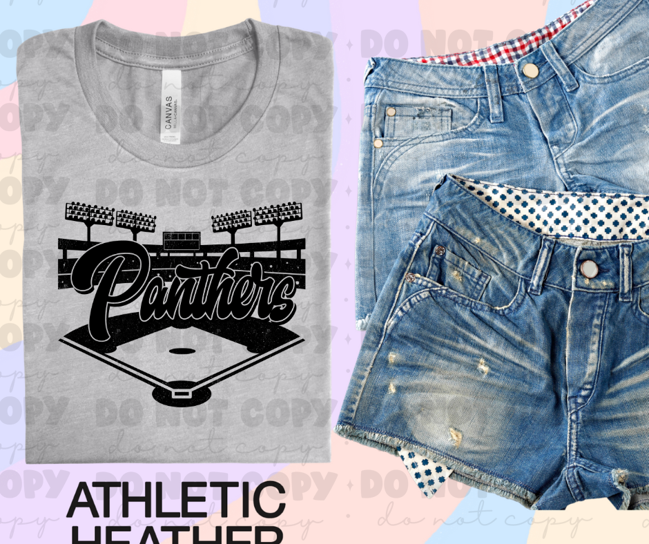 Panthers Baseball stadium