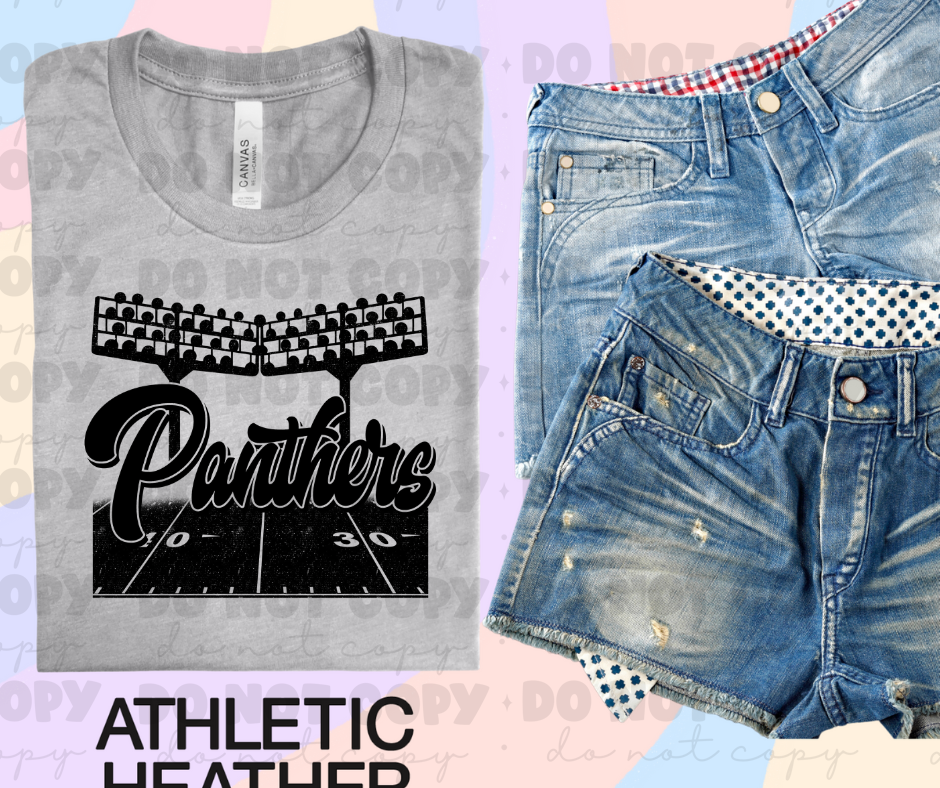 Panthers Football Stadium