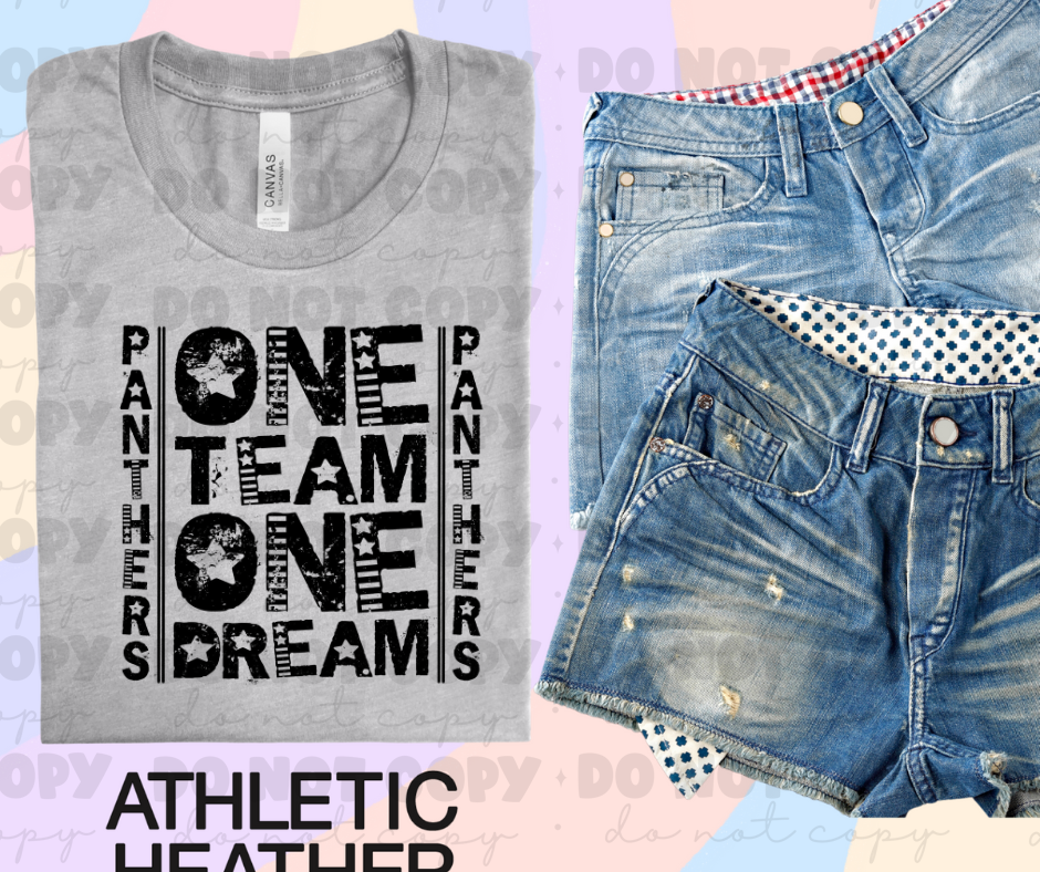 One Team one Dream Panthers