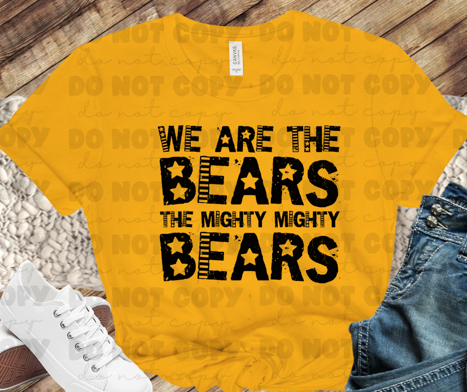We are the Bears the mighty mighty Bears