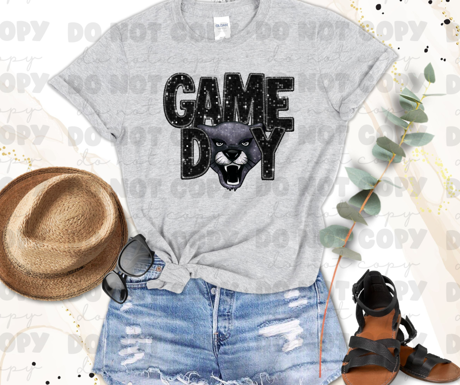 Panthers Game Day