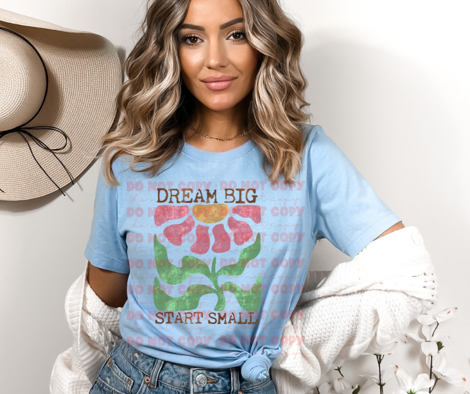Dream Big Start Small