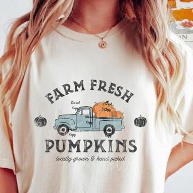 Fall fresh pumpkins