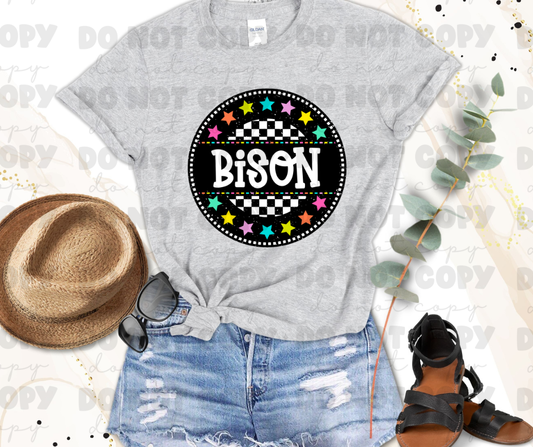 Bison Circle Colorful